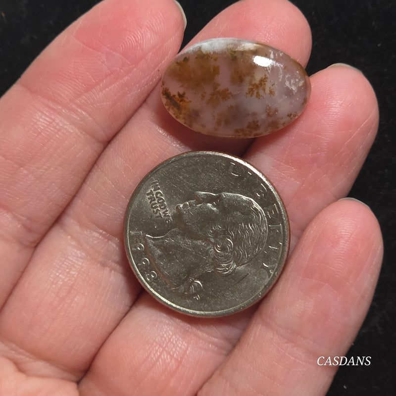 Russian Scenic Dendritic Agate Cabochon