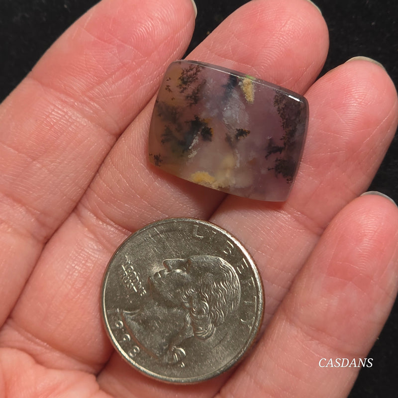 Russian Scenic Dendritic Agate Cabochon