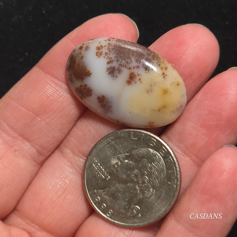 Russian Scenic Dendritic Agate Cabochon