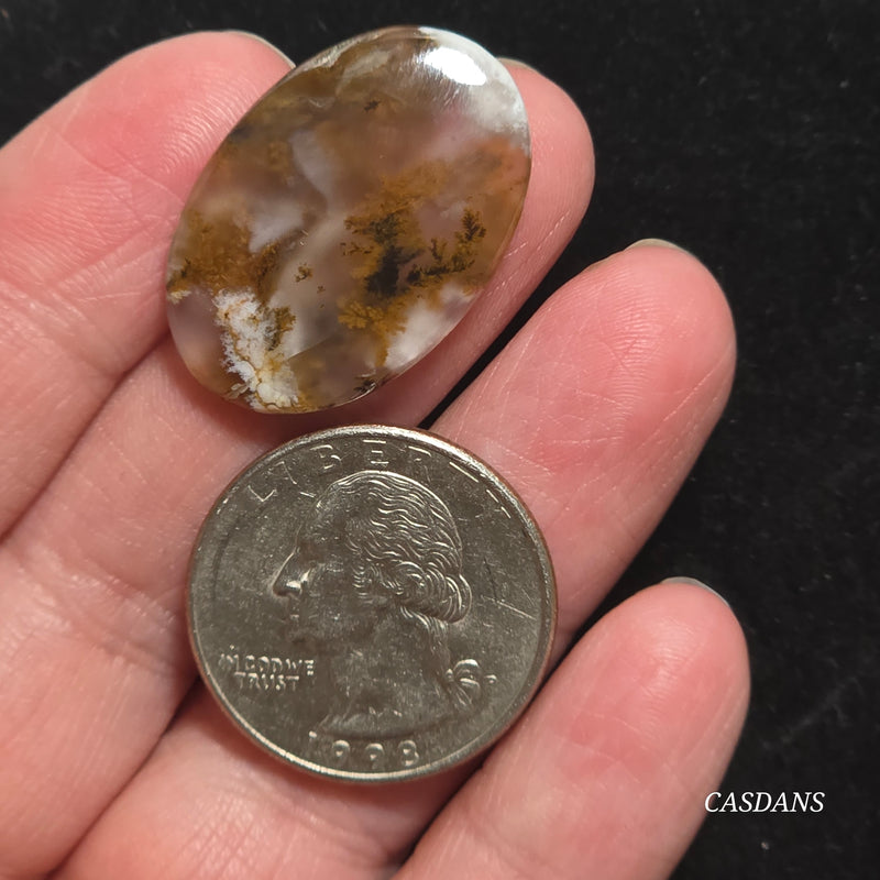 Russian Scenic Dendritic Agate Cabochon