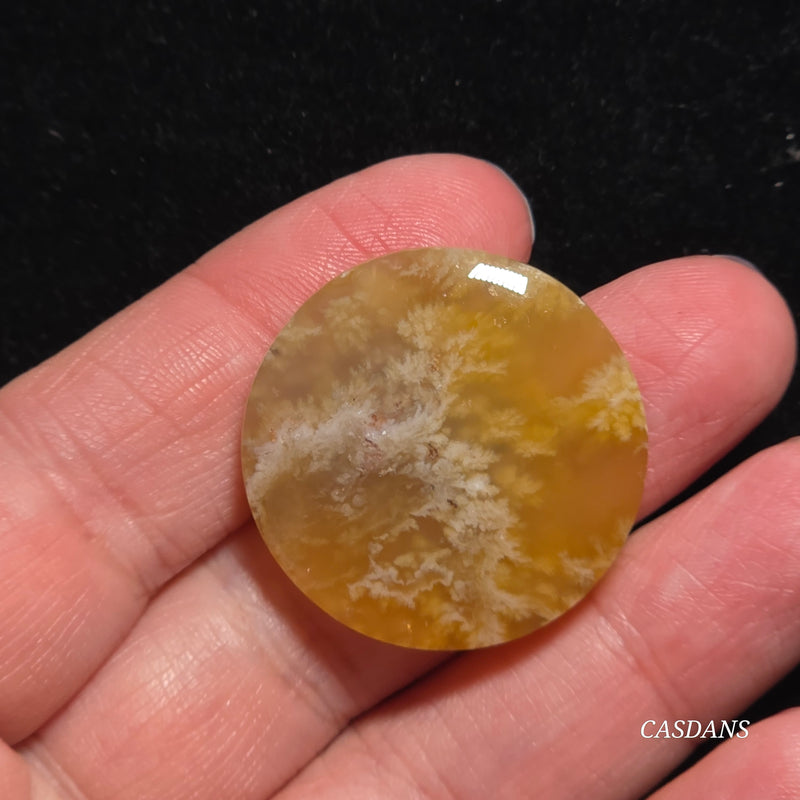 Flower Agate Cabochon