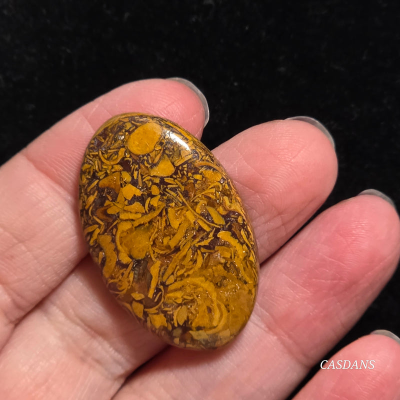 Miriam Stone / Calligraphy Stone Cabochon