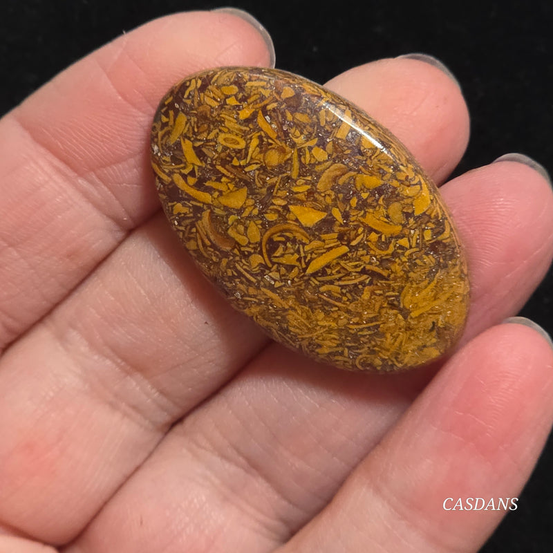 Miriam Stone / Calligraphy Stone Cabochon