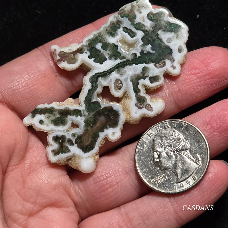 Polished Moss Agate Slice