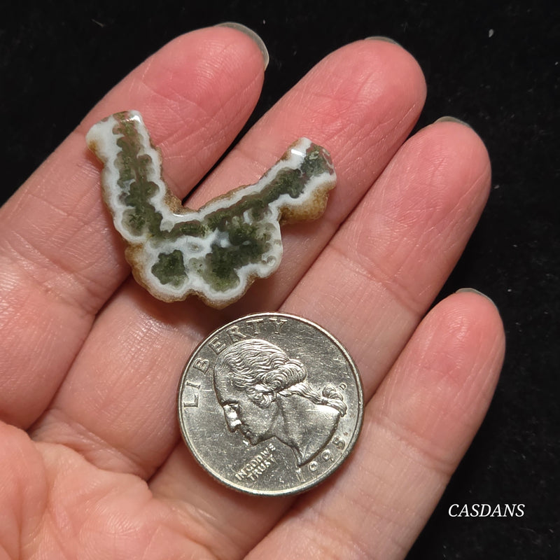 Polished Moss Agate Slice