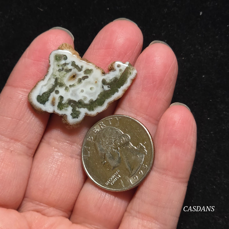 Polished Moss Agate Slice