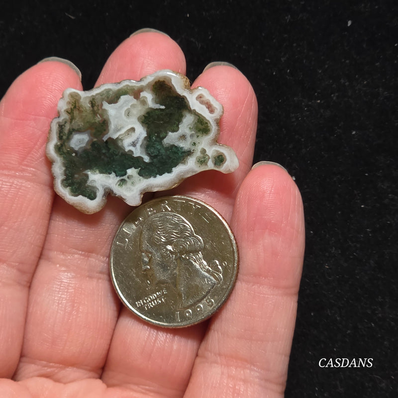 Polished Moss Agate Slice