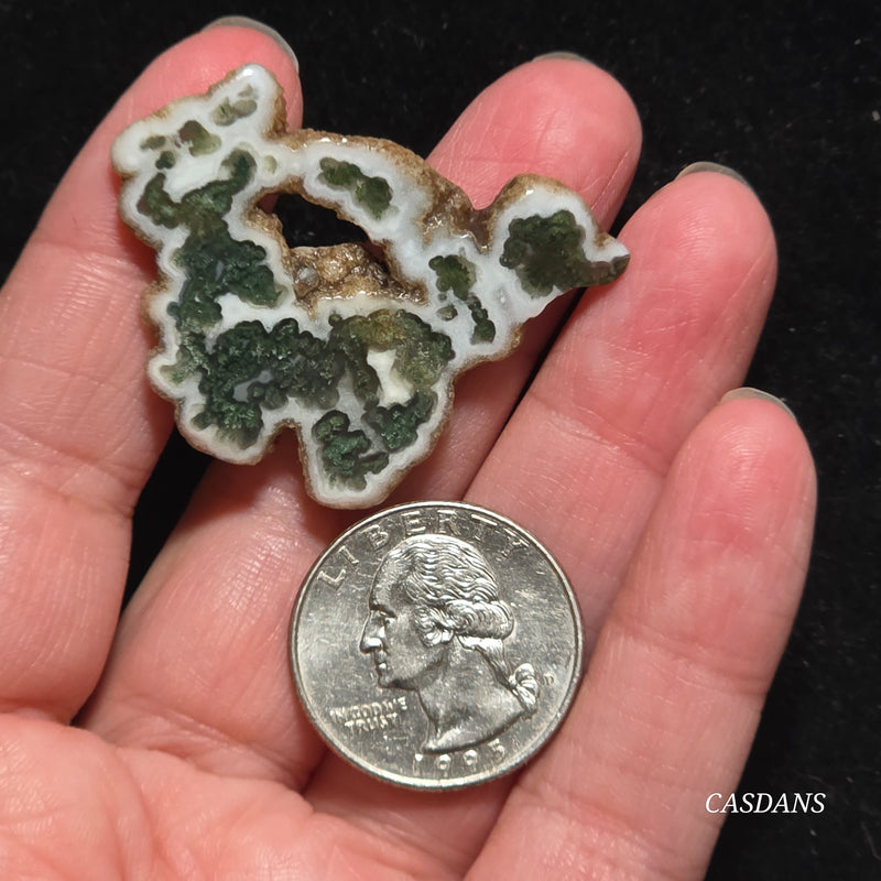 Polished Moss Agate Slice