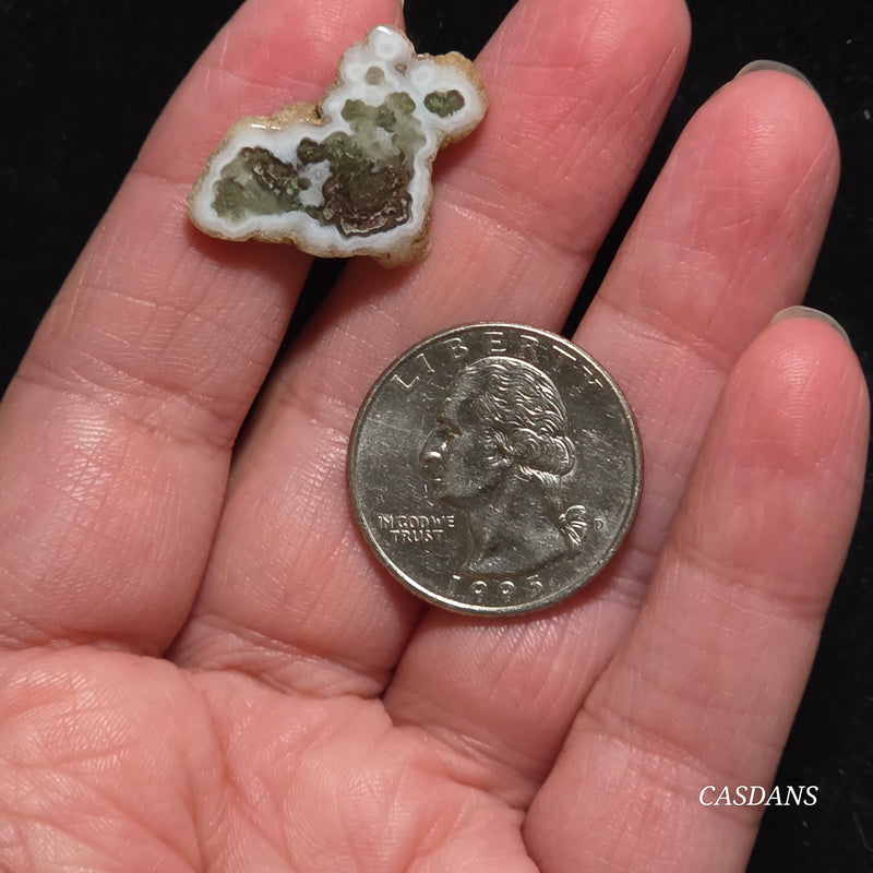 Polished Moss Agate Slice