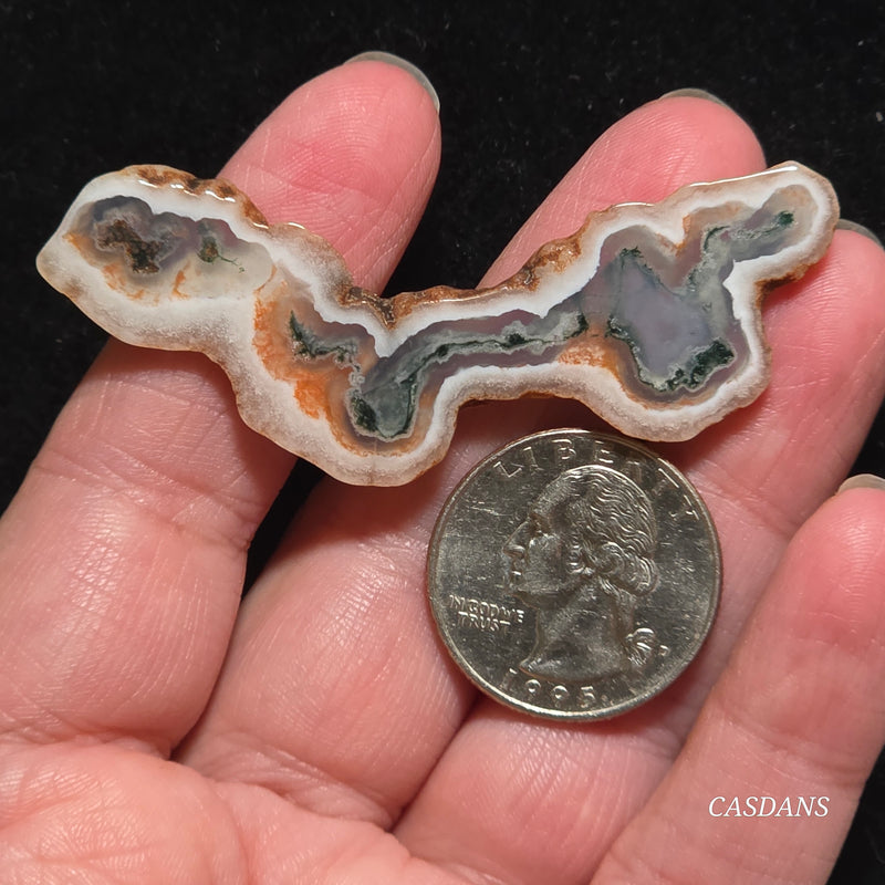 Polished Moss Agate Slice
