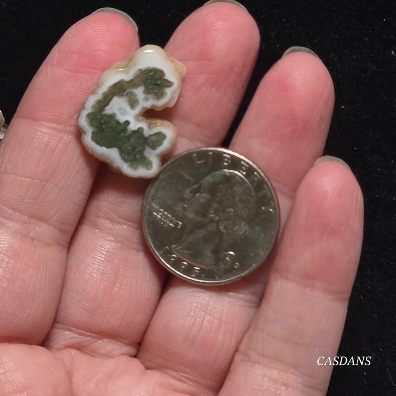 Polished Moss Agate Slice