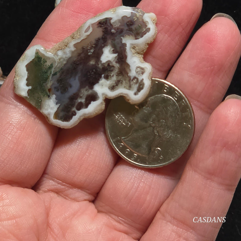 Polished Moss Agate Slice