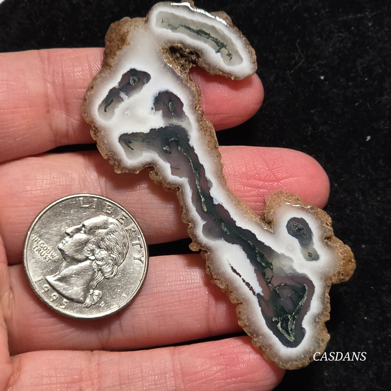Polished Moss Agate Slice
