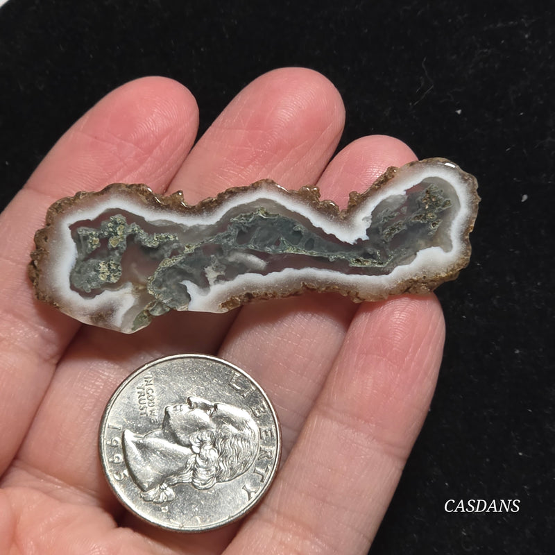 Polished Moss Agate Slice