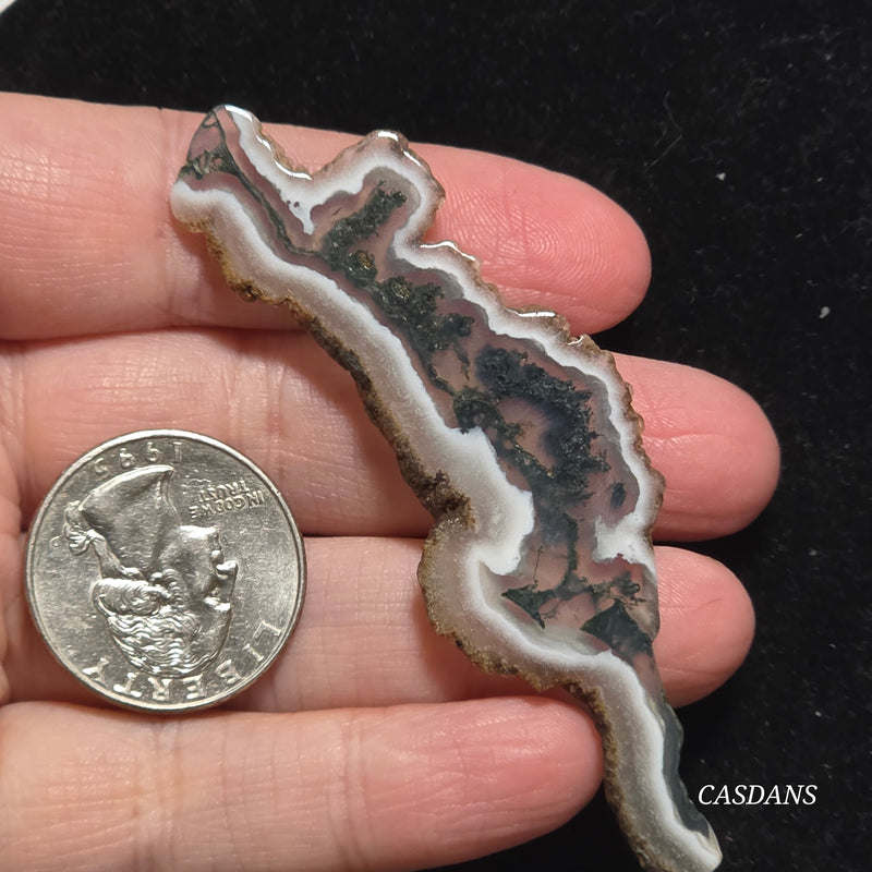 Polished Moss Agate Slice