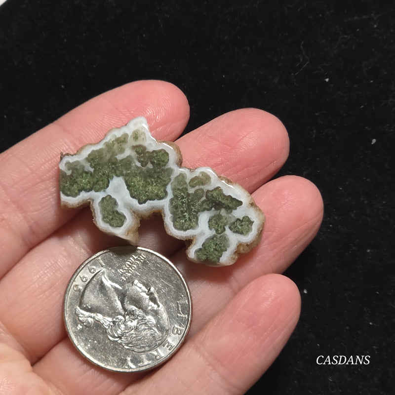 Polished Moss Agate Slice