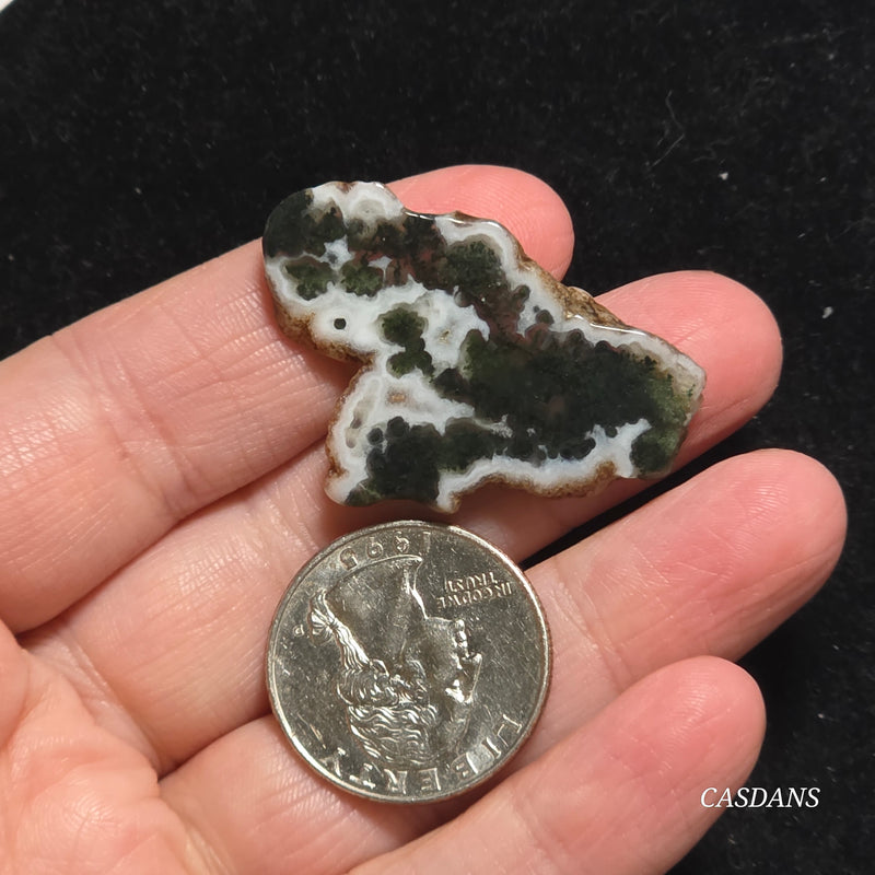 Polished Moss Agate Slice