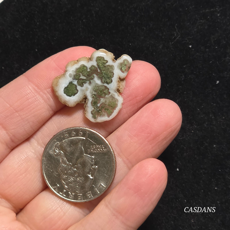 Polished Moss Agate Slice