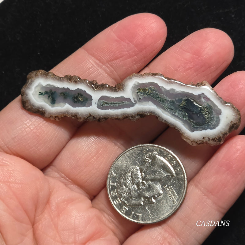 Polished Moss Agate Slice