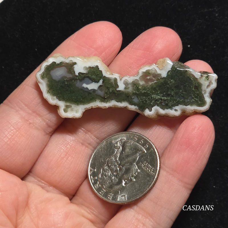 Polished Moss Agate Slice