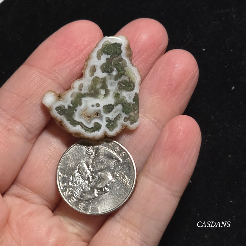 Polished Moss Agate Slice