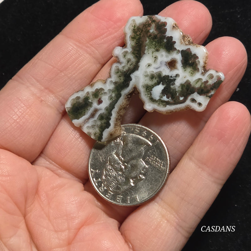 Polished Moss Agate Slice