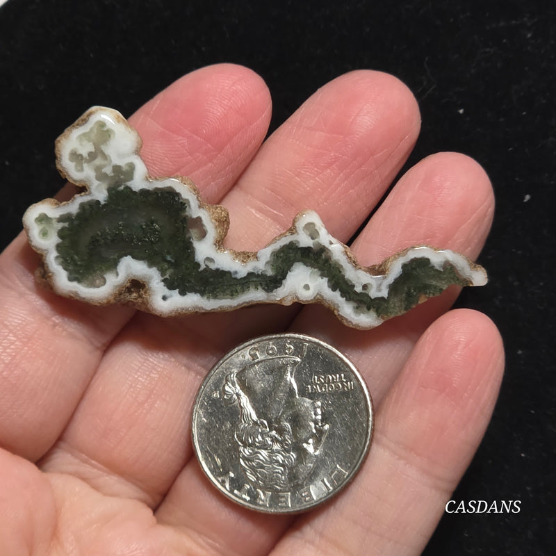 Polished Moss Agate Slice