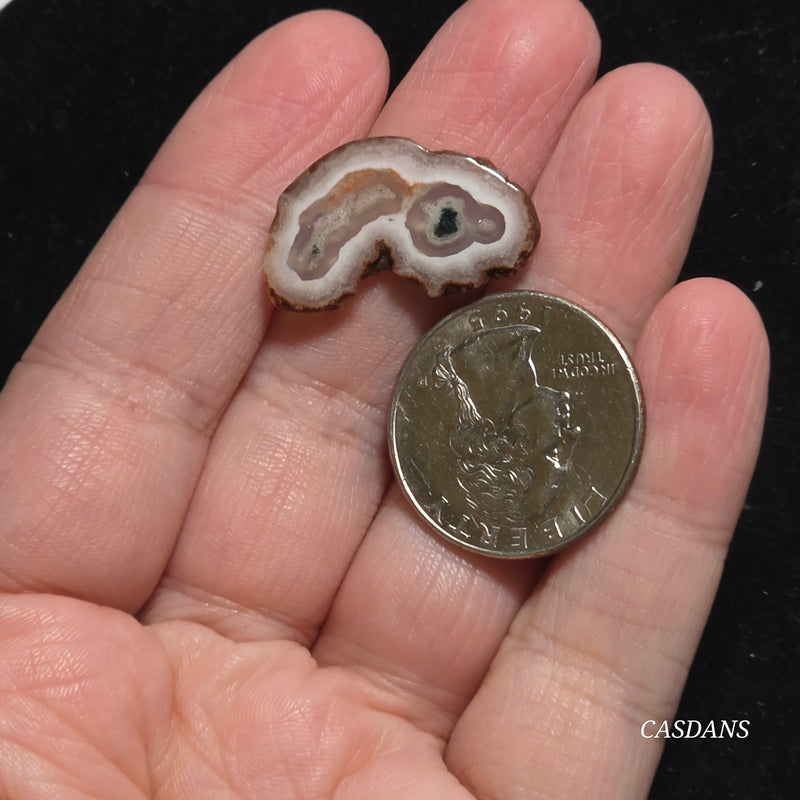 Polished Moss Agate Slice