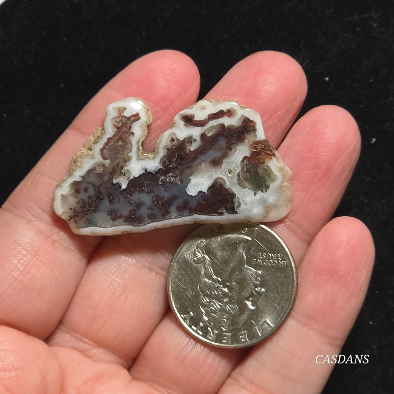 Polished Moss Agate Slice