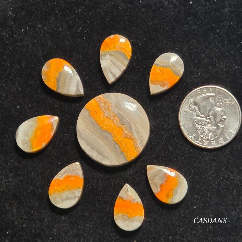 Bumblebee Jasper Flower Set (8 Piece Set)