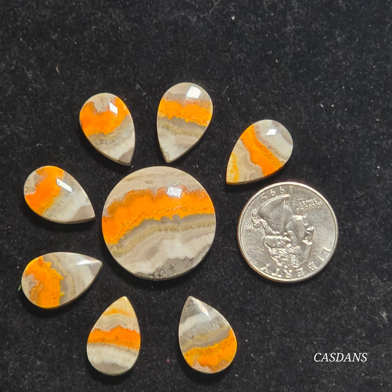 Bumblebee Jasper Flower Set (8 Piece Set)
