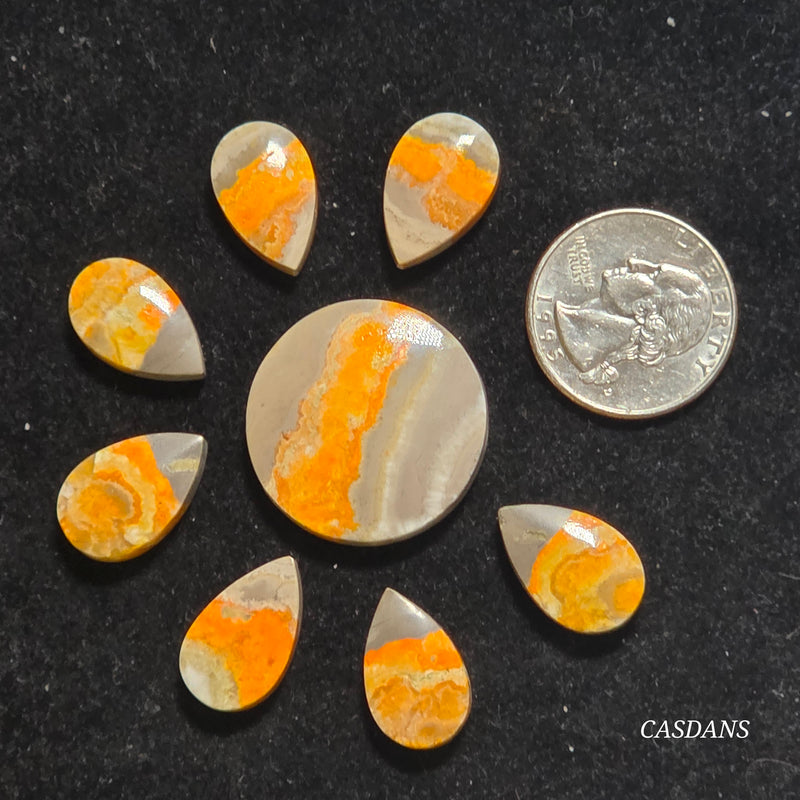 Bumblebee Jasper Flower Set (8 Piece Set)