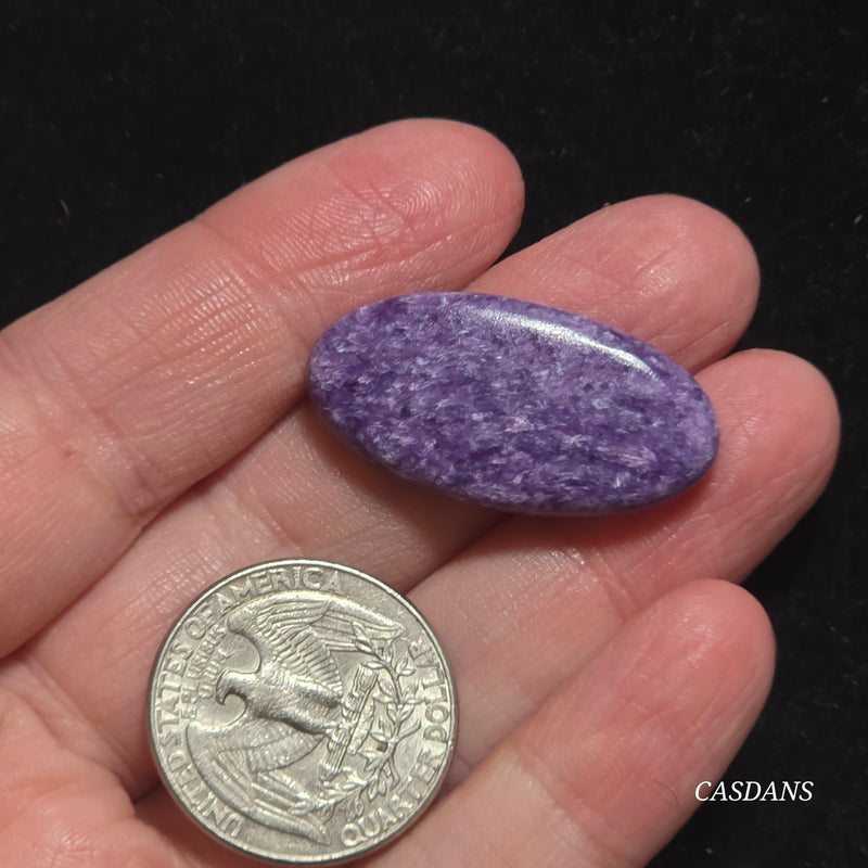 Charoite Cabochon