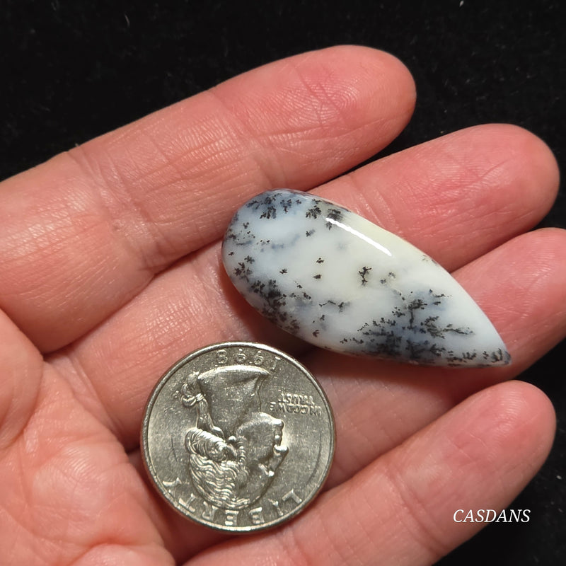 Dendritic Agate Cabochon