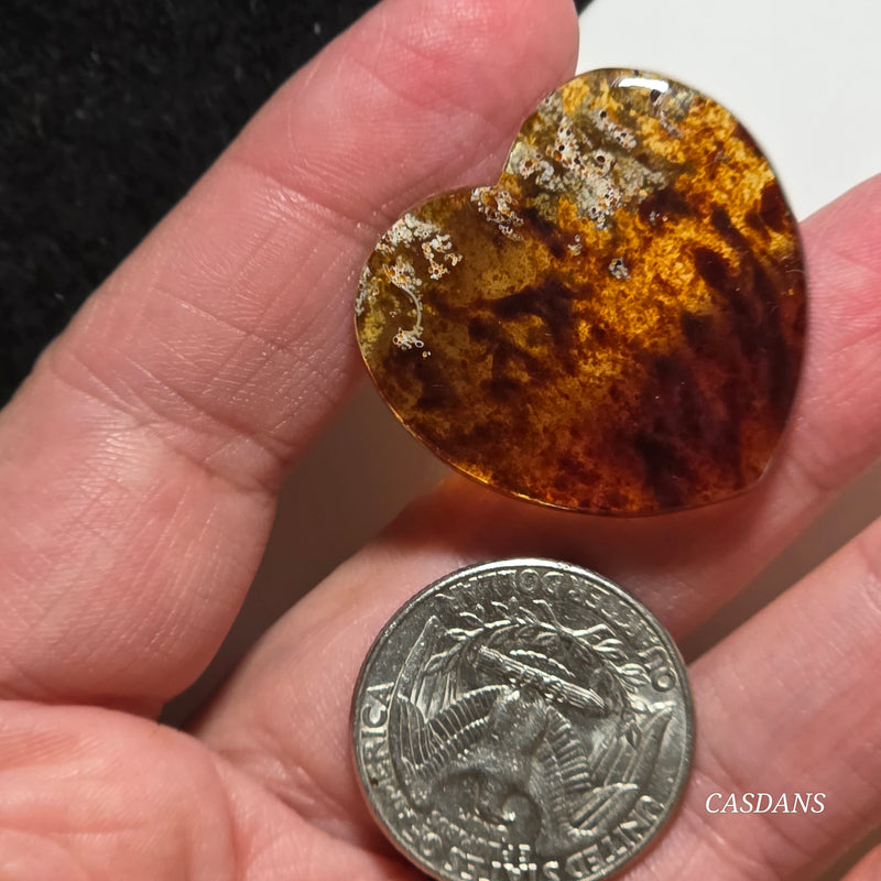 Indonesian Amber Heart Cabochon