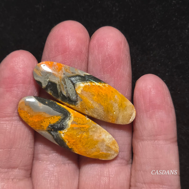 Bumblebee Jasper Cabochon Pair