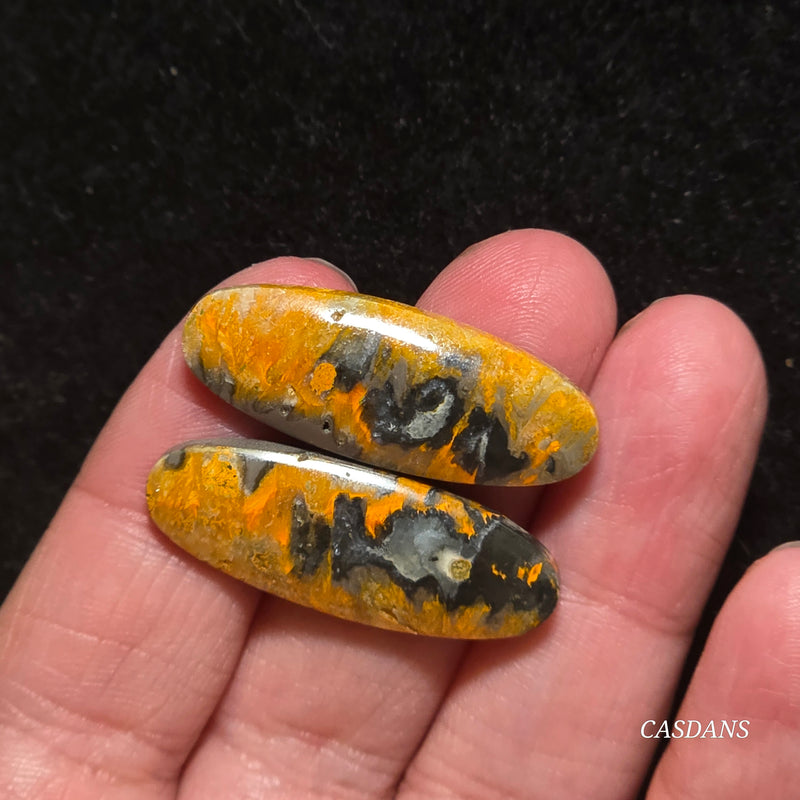 Bumblebee Jasper Cabochon Pair