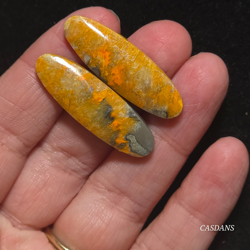 Bumblebee Jasper Cabochon Pair