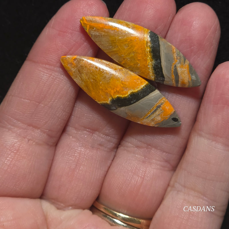 Bumblebee Jasper Cabochon Pair
