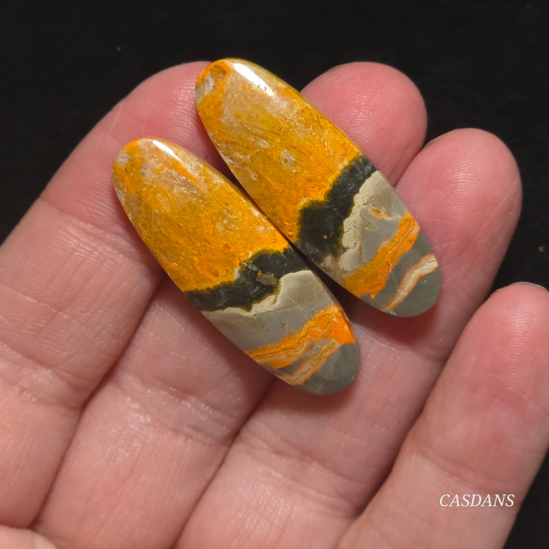 Bumblebee Jasper Cabochon Pair