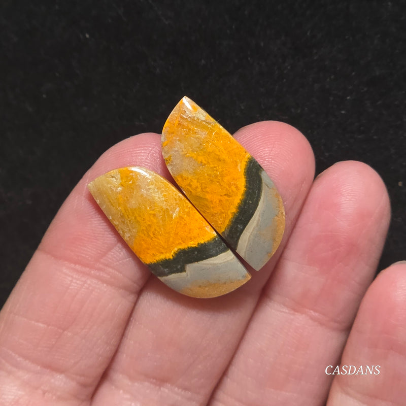 Bumblebee Jasper Cabochon Pair