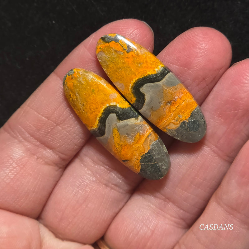 Bumblebee Jasper Cabochon Pair