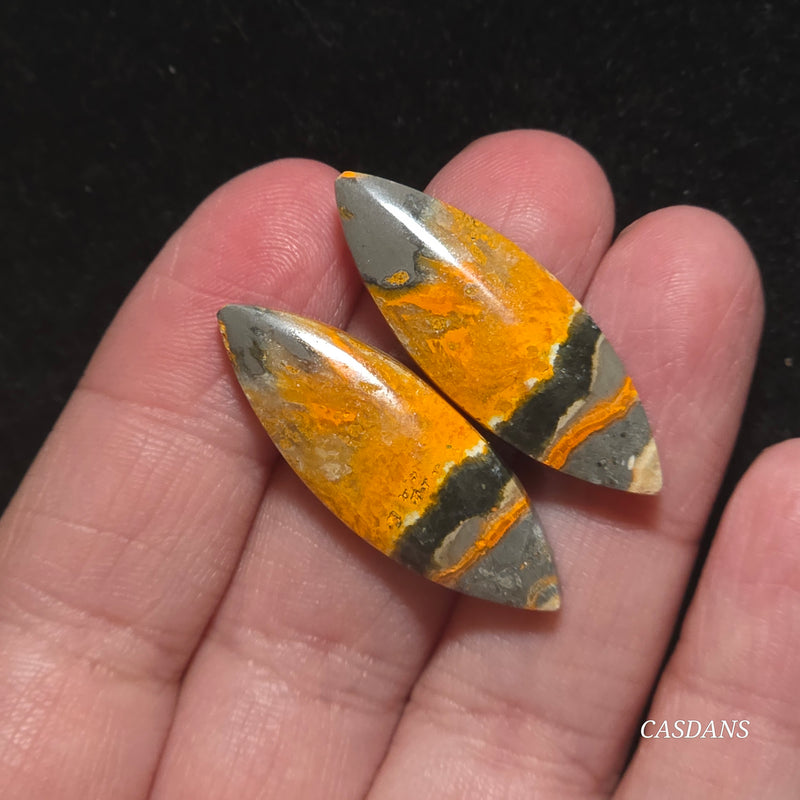 Bumblebee Jasper Cabochon Pair