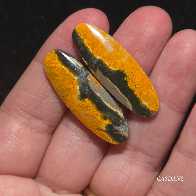 Bumblebee Jasper Cabochon Pair