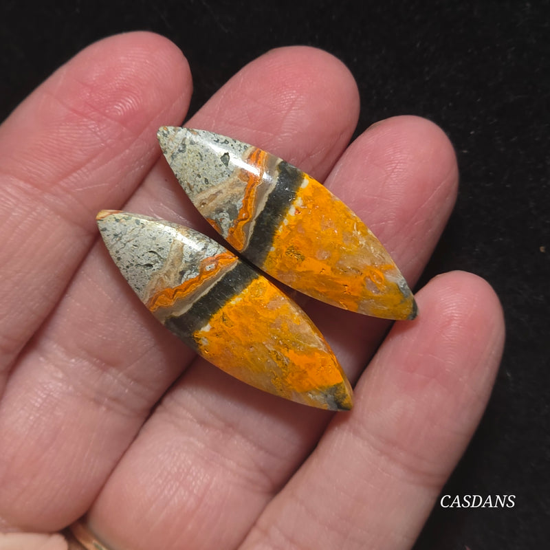 Bumblebee Jasper Cabochon Pair