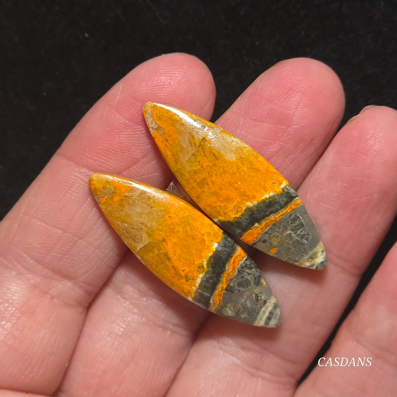 Bumblebee Jasper Cabochon Pair
