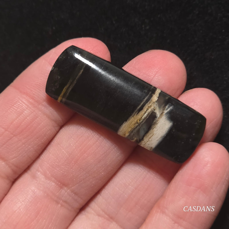 Petrified Wood Cabochon