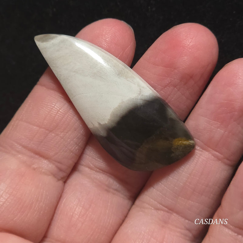 Petrified Wood Cabochon