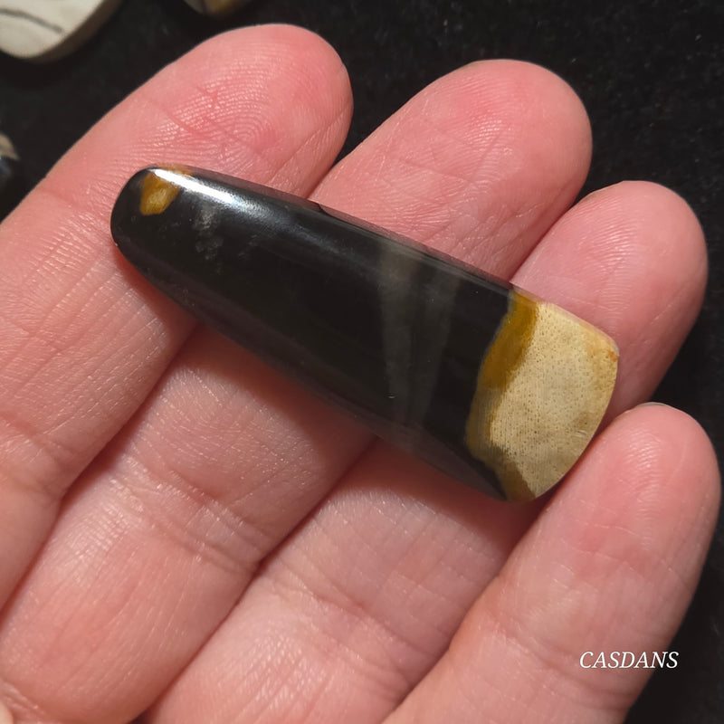 Petrified Wood Cabochon
