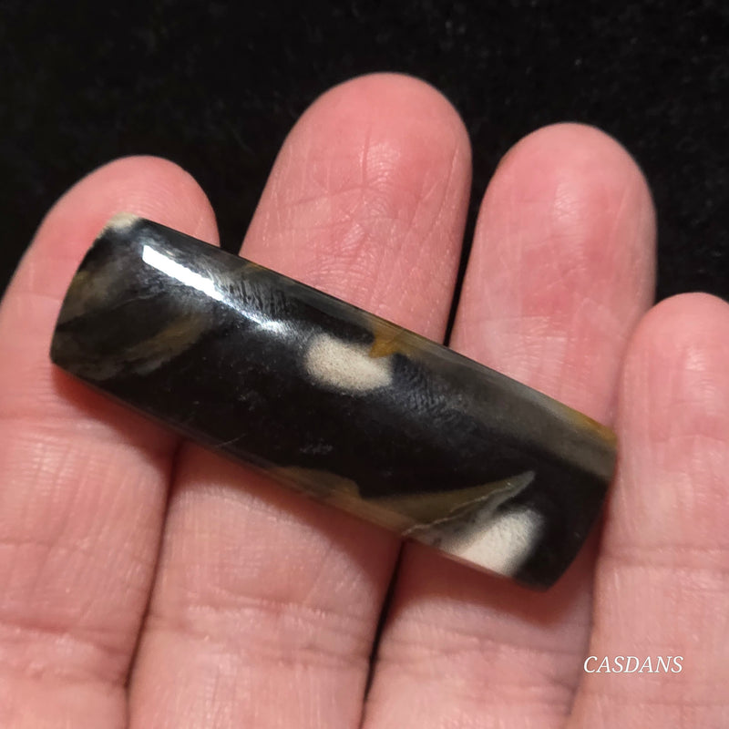 Petrified Wood Cabochon